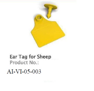 EAR TAG FOR SHEEP